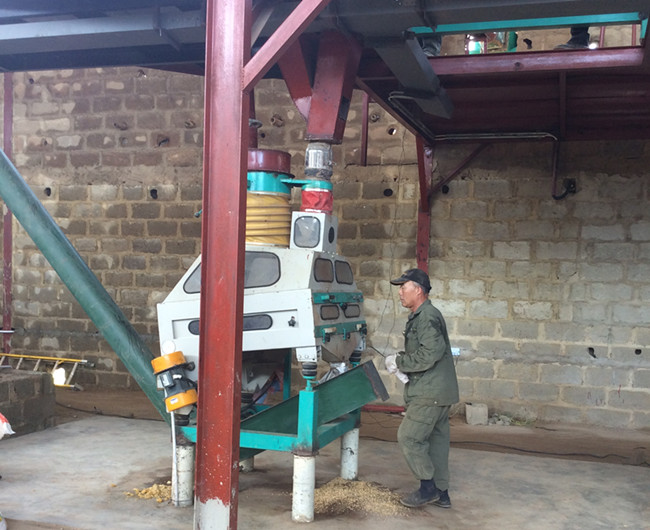 palm kernel cleaning machine