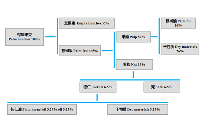 oil content of each part