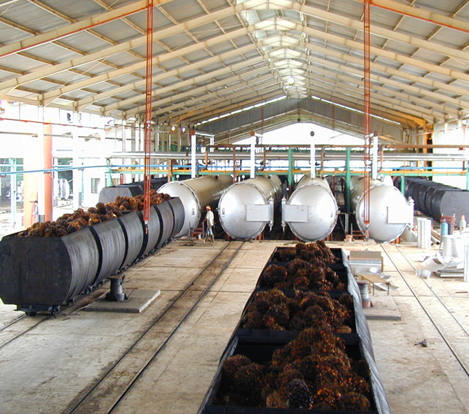 palm fruit steriling section