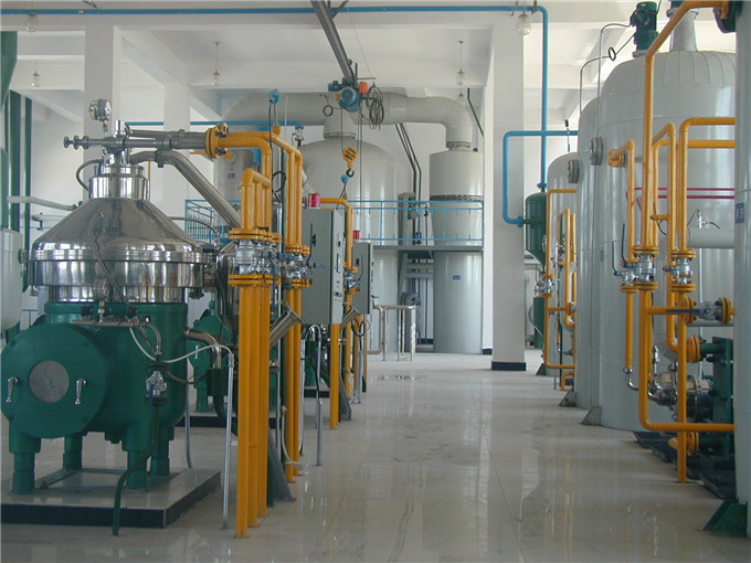 palm oil refinery plant 