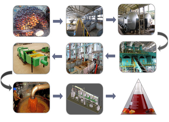 Le fabricant de machines de traitement d'huile de palme fournit une presse  à huile de palme, une ligne de production d'extraction et de raffinage d' huile de palme avec un prix d'usine