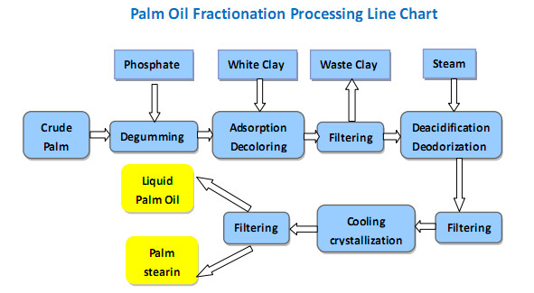 palm oil fractionation 