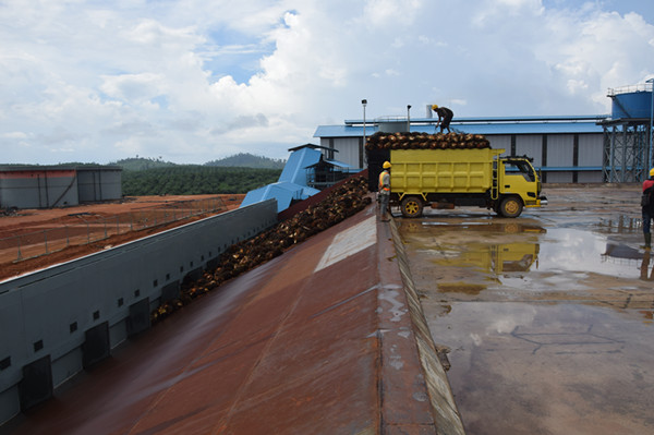 palm oil processing plant 