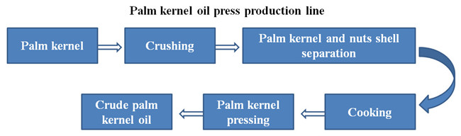 organigramme du prétraitement et de la presse à huile de palmiste