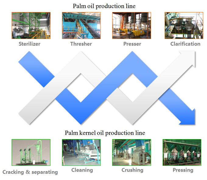 palm kernel production machine