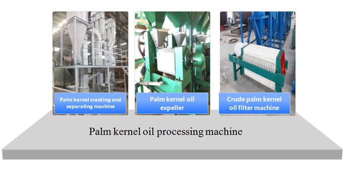 Palm number Oil Extraction machine