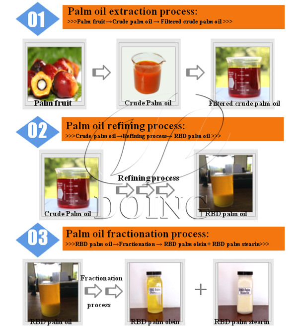 Palm Oil Extraction Process