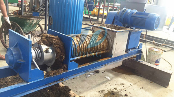 Palm Oil expeller machine