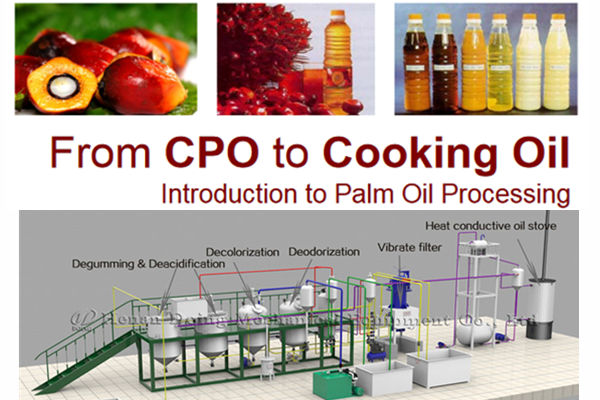 palm oil refining machine 