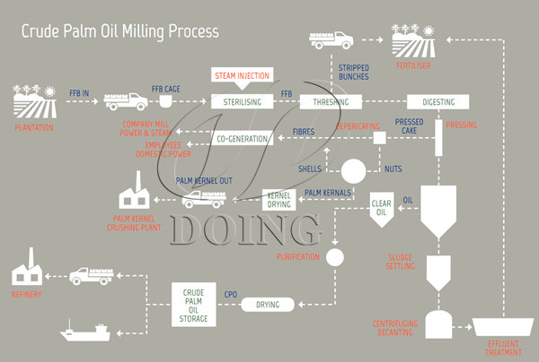Palm Oil Extraction Process Diagram