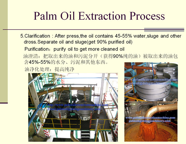 Palm Oil Clearing machine