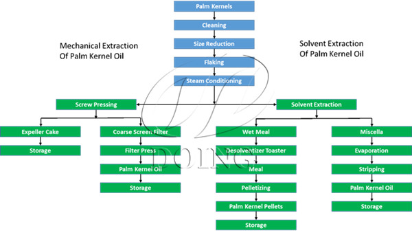 palm kernel oil extraciton process