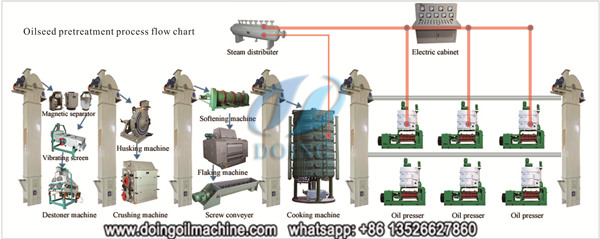 Palm Kernel Oil Processing Plant