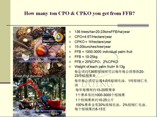 how many ton cpo you can get from FFB?