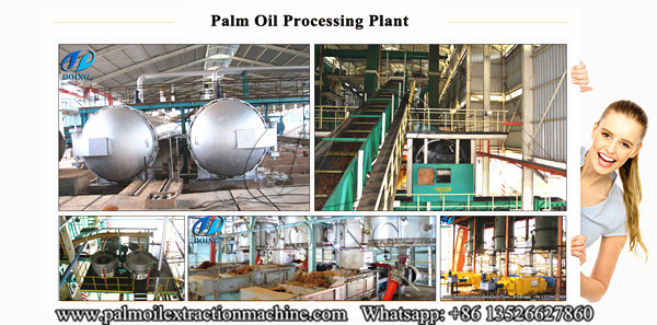 Palm Oil Processing Plant