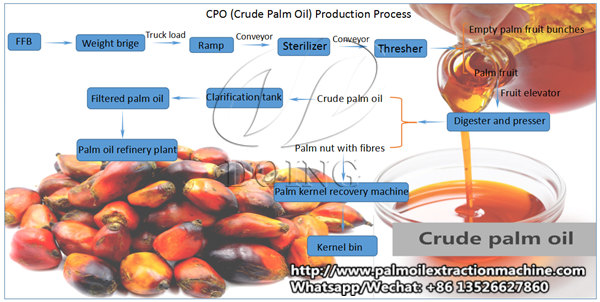 Palm Oil Production Process Flow Chart