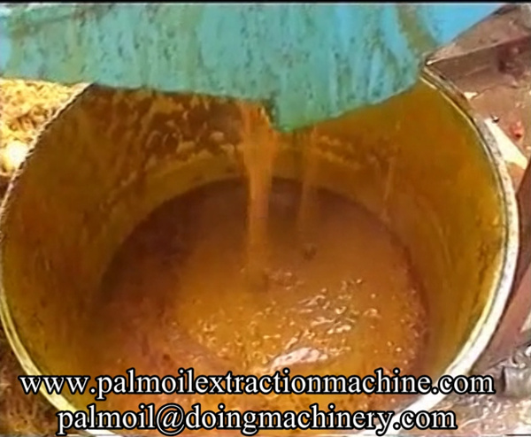 Palm Oil Extraction machine