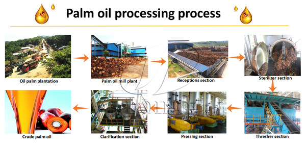  Palm Oil Extraction machine 