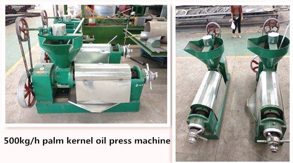 Palm Kernel Oil expeller