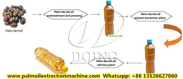 palm kernel oil mill process