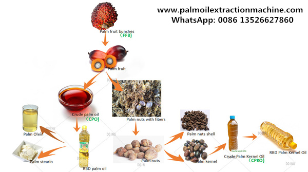 palm oil production process 