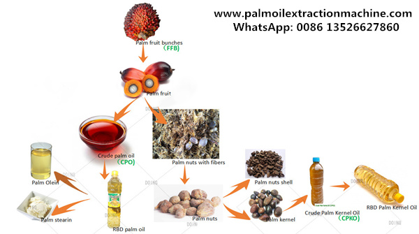Palm Oil Production Process