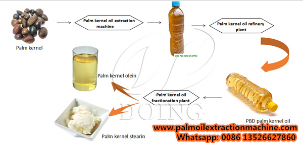 palm kernle oil production process
