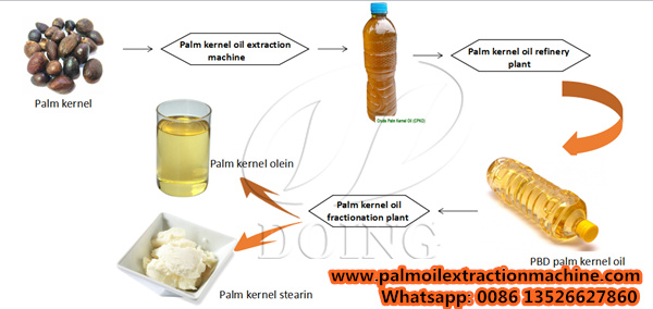 Palm Kernel Oil Production Process