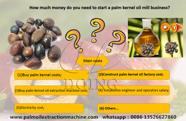 palm kernel oil mill business