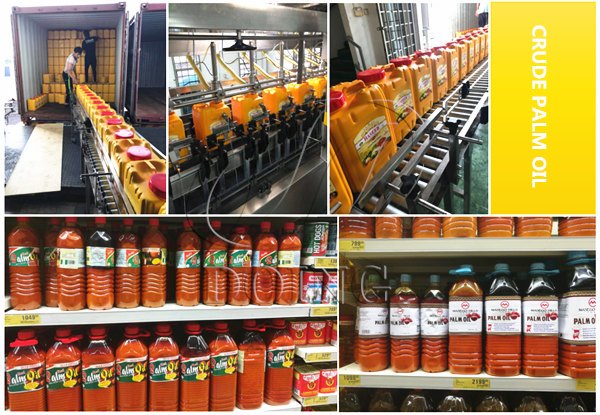 Palm Oil Processing Mill