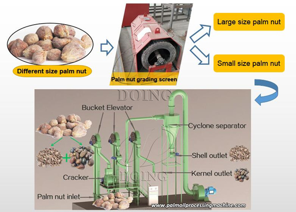 Palm Kernel Oil Processing Machine