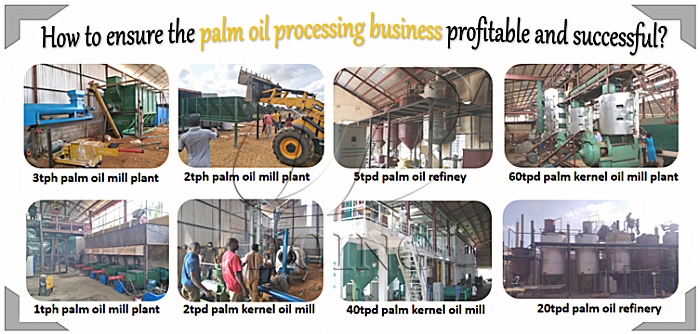 Palm Oil Processing Business