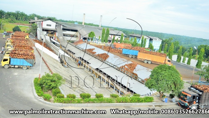 Palm Oil Processing Business