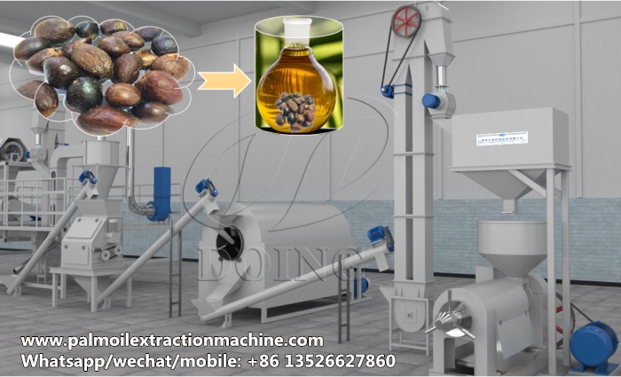 Palm number Oil Extraction machine