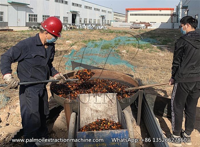 Palm Oil Press Machine