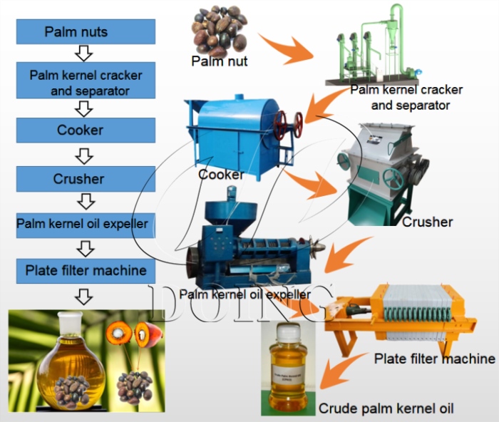 palm kernel oil production line