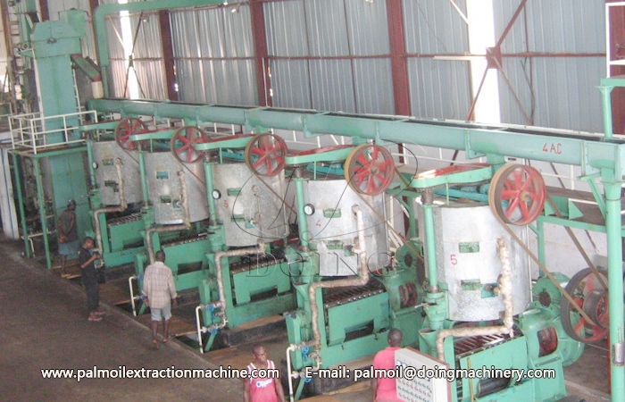 Palm number Oil Press Machine