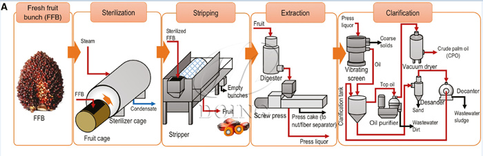 Palm Oil Processing Process