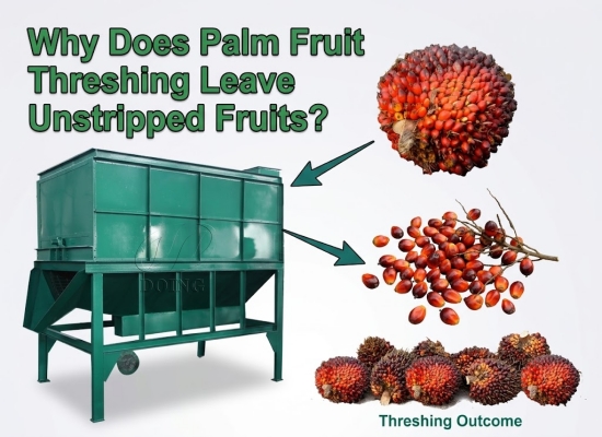 Why Does Palm Fruit Threshing Leave Unstripped Fruits? Causes and How to Reduce Them