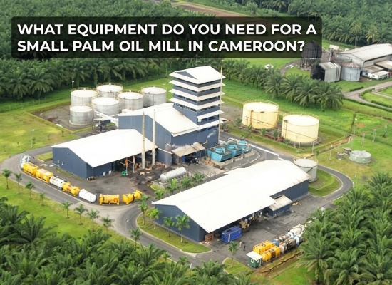 What Equipment Do You Need for a Small Palm Oil Mill in Cameroon?