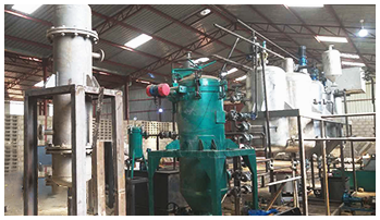 Cas du projet de raffinage du palmier