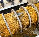 Palm Oil Press