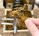 Palm Oil Press
