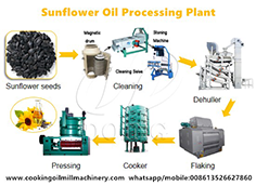 Sunflower Oil Processing Machine