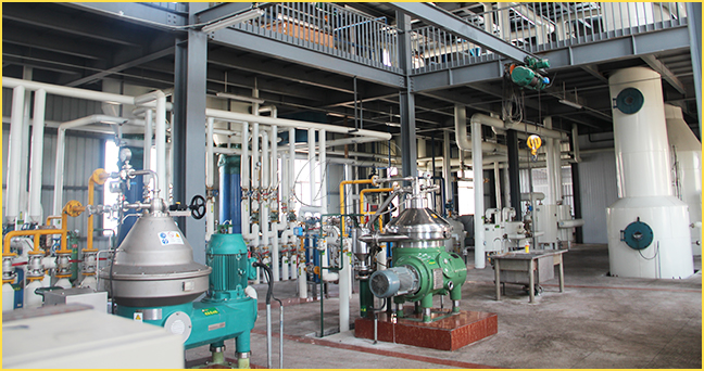 Fully Continuous Palm Oil Refining Machine