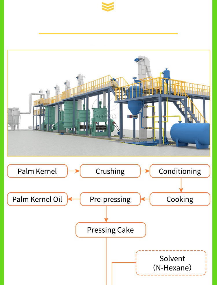 palm kernel oil making machine