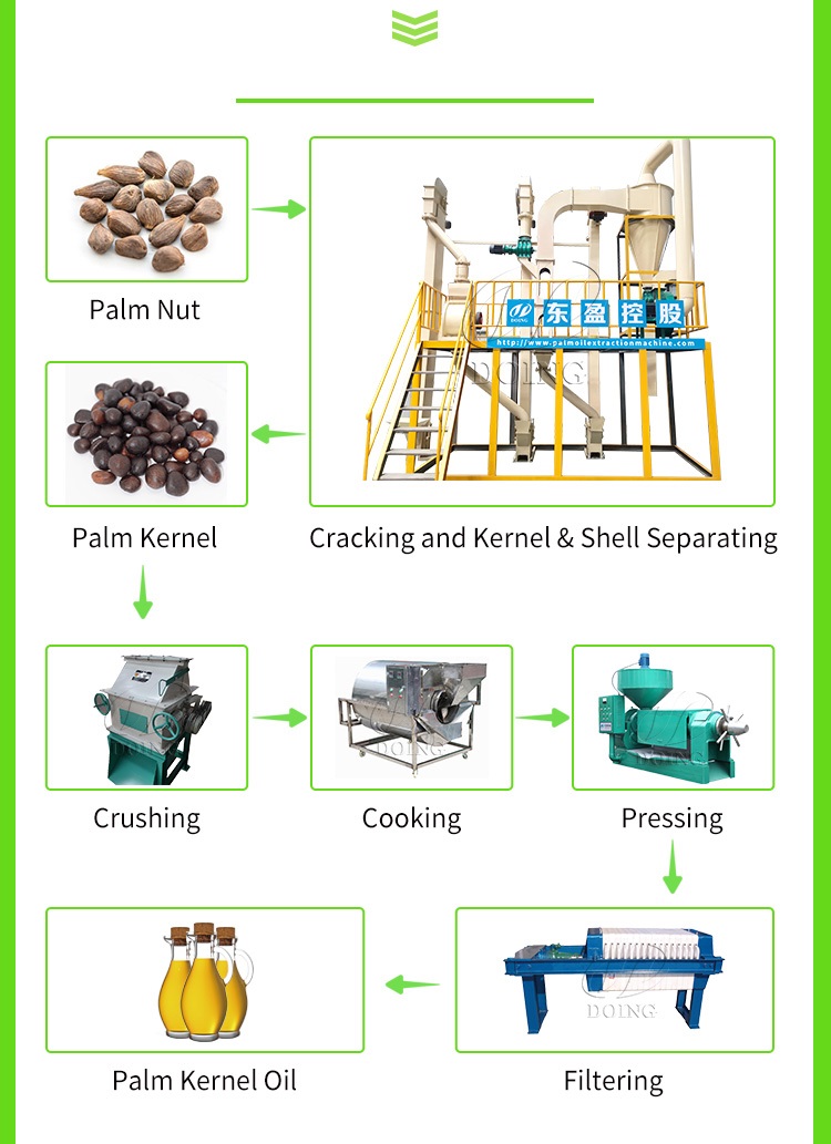 palm kernel oil production process