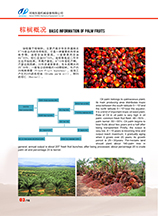 palm oil extraction machine