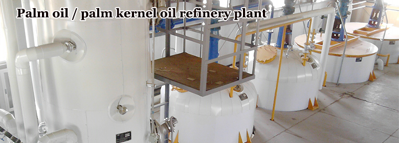 Palm oil refining machine