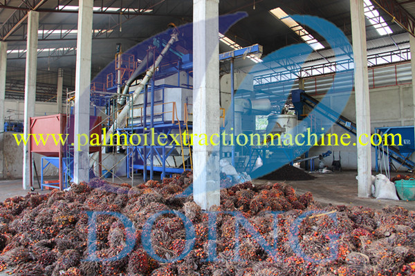 palm oil mill plant